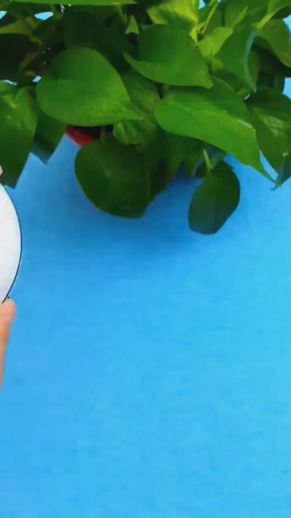 2In1 Mini Washing Machine Portable Rotating Ultrasonic Turbine Washer